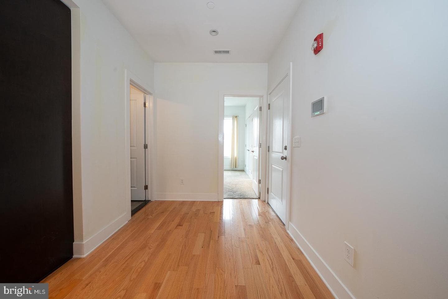110 Naudain Street #4 photo 10