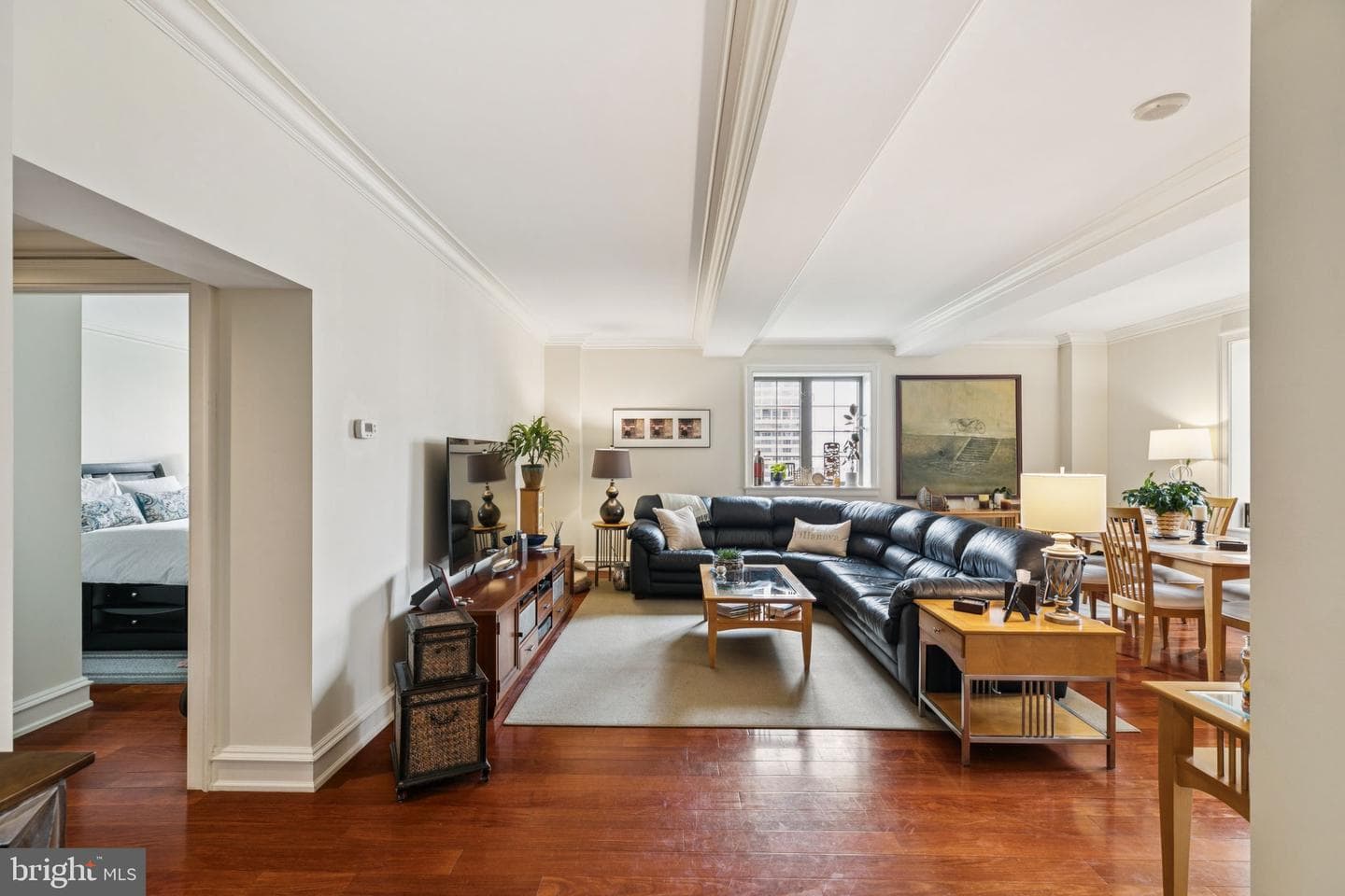 219 S 18th Street #1506 photo 4