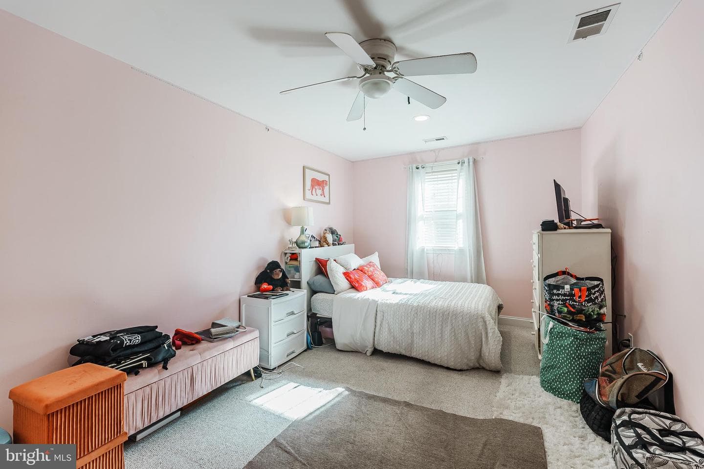 207 Moore Street photo 12