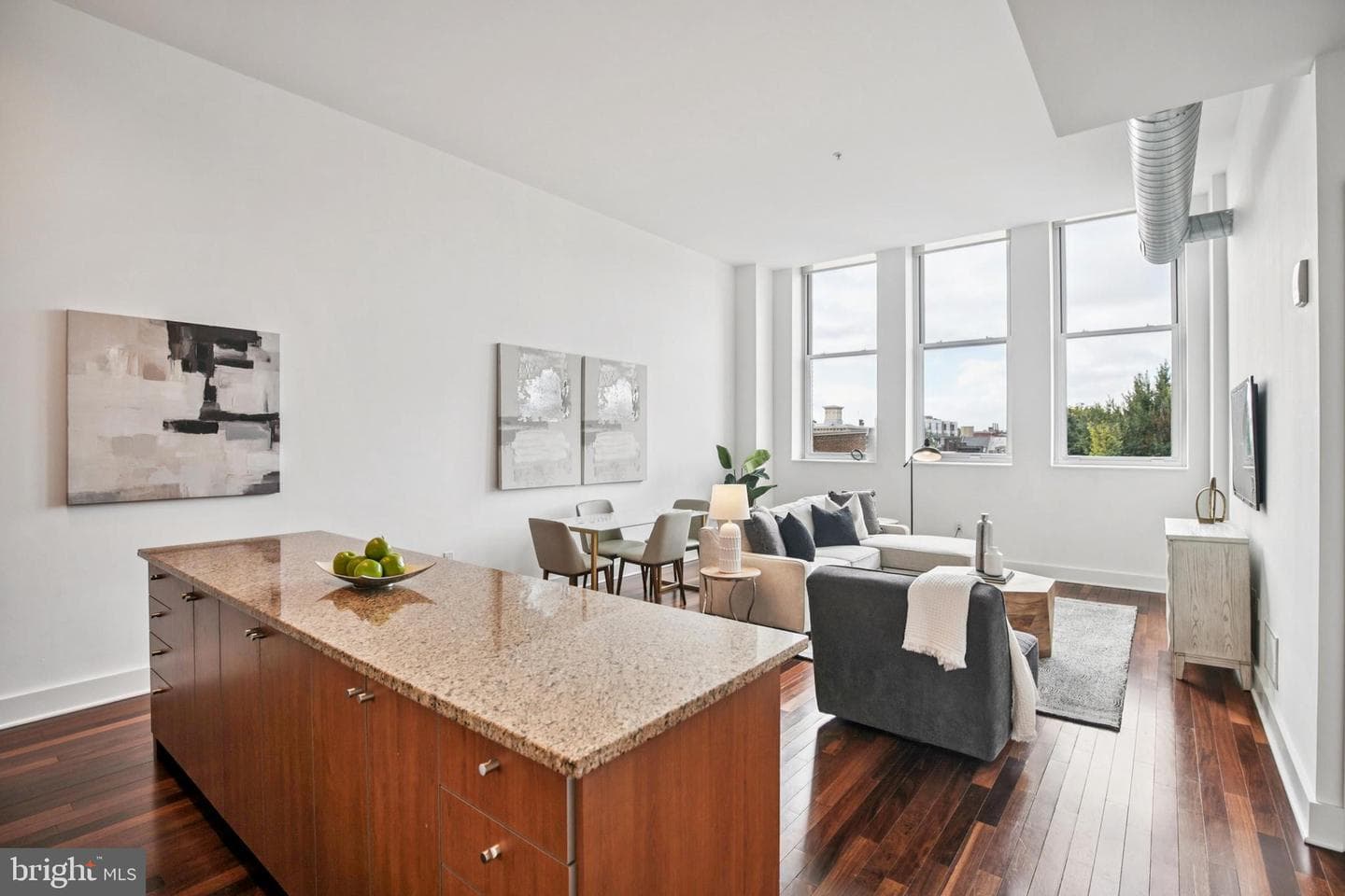 1101 Locust Street #4e, Philadelphia