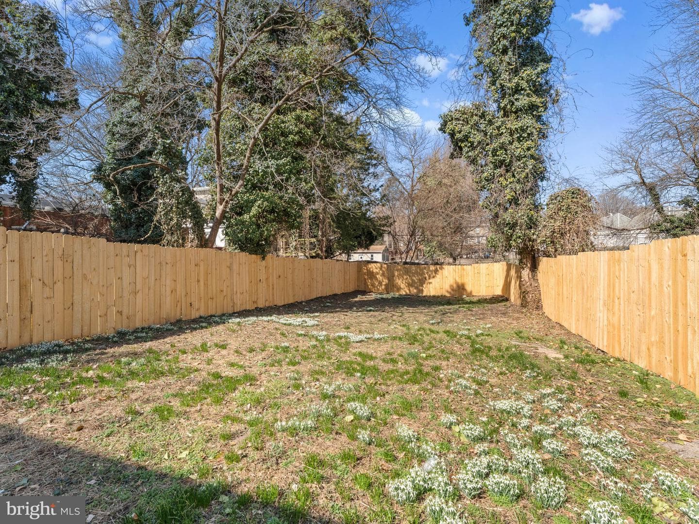 413 E High Street photo 3