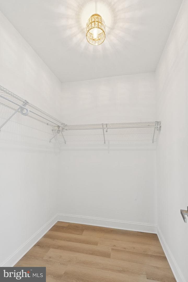 137 W Manheim Street photo 33