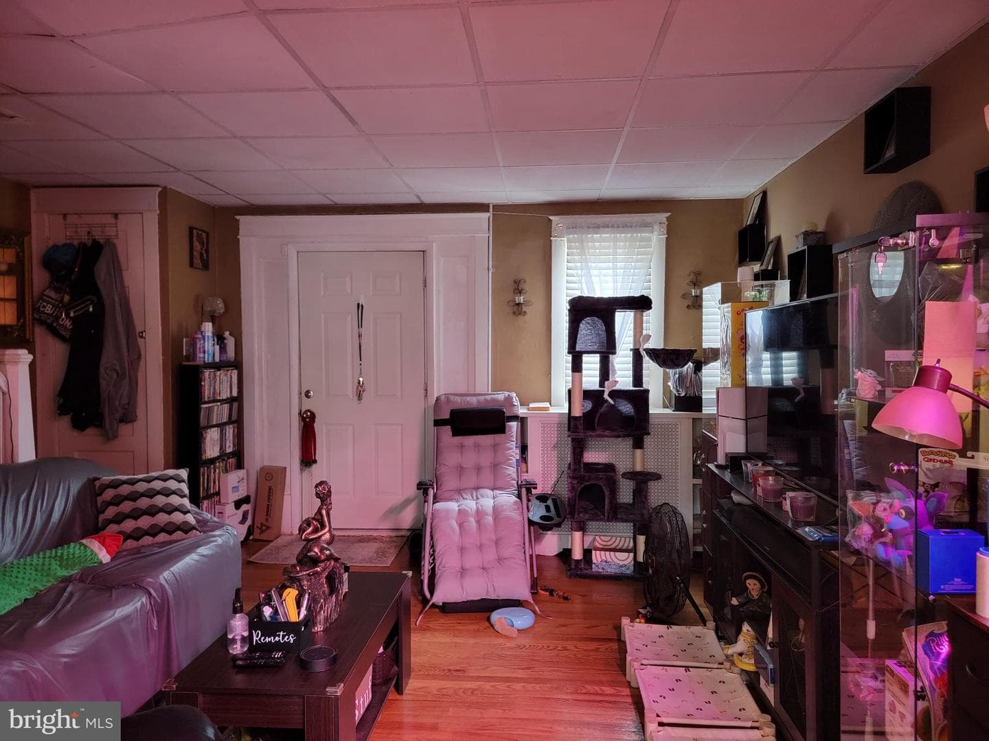 126 Rosemar Street photo 4