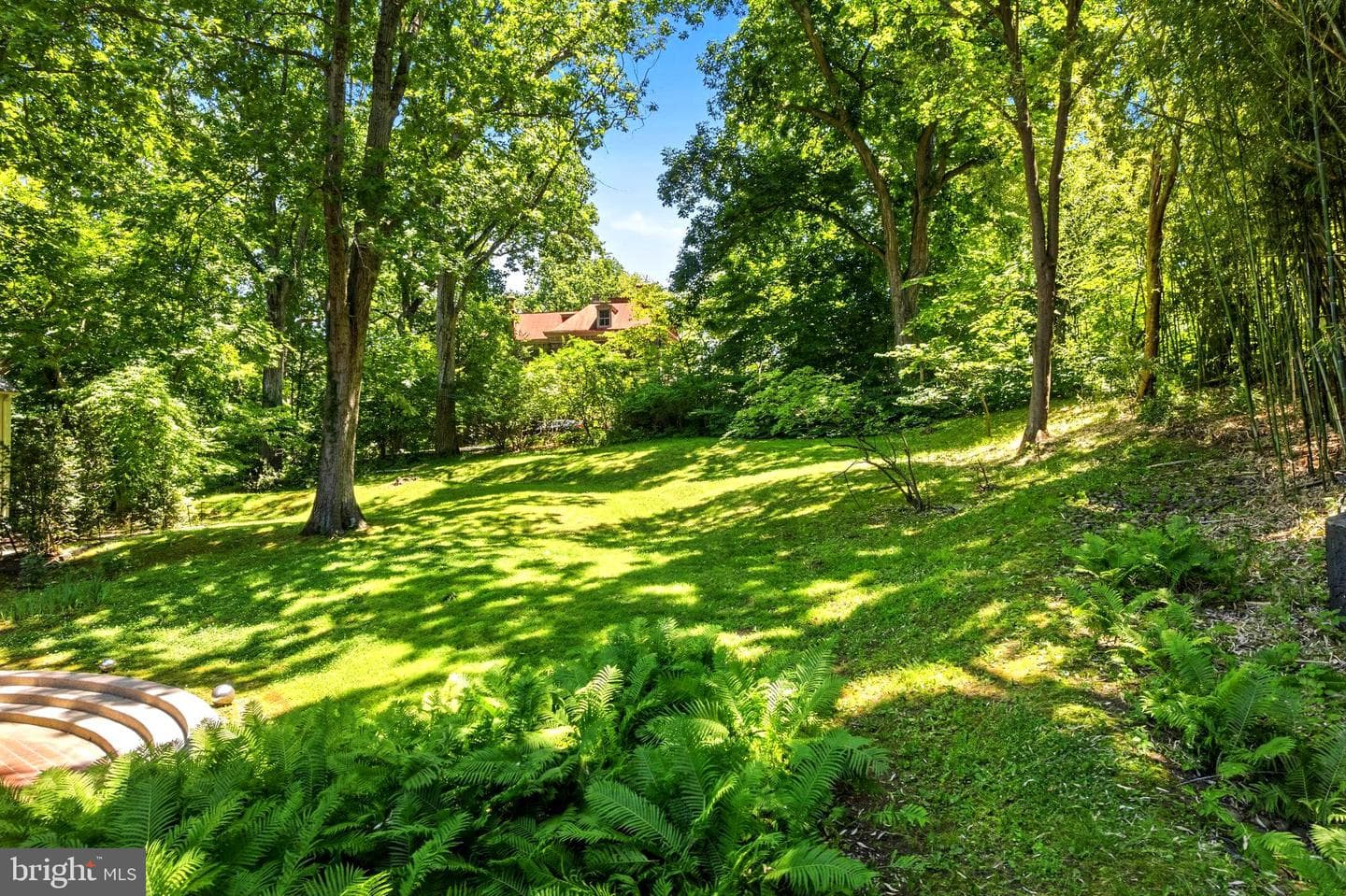 104 E Bells Mill Road photo 33