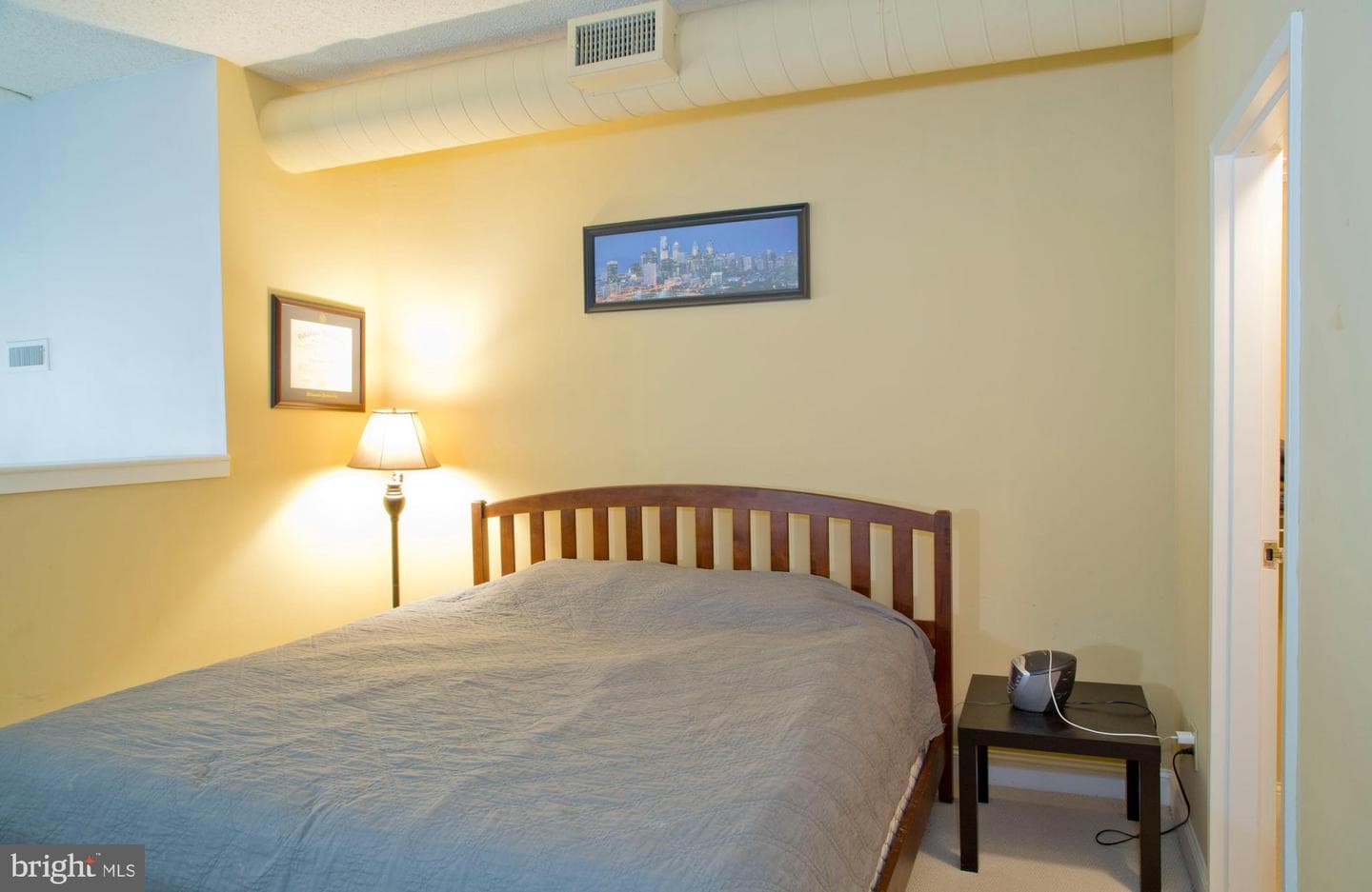 2429 Locust Street #411 photo 8