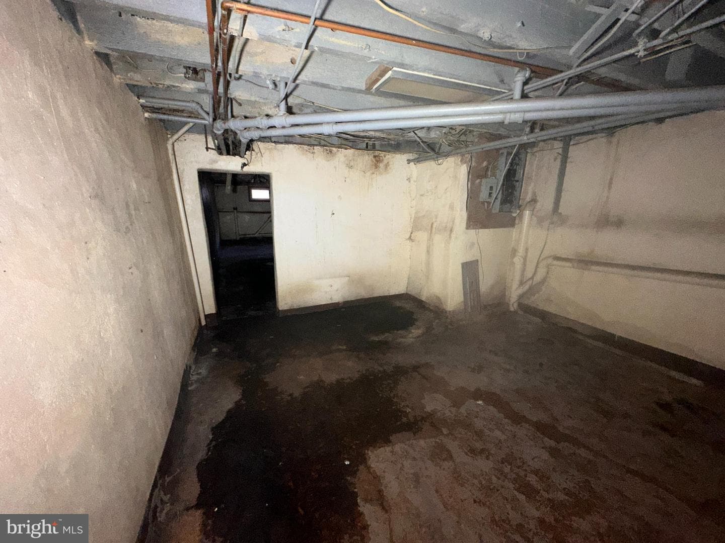 3947 N Broad Street photo 25