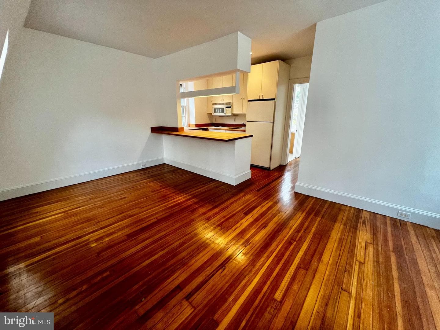 628 W Hortter Street photo 39