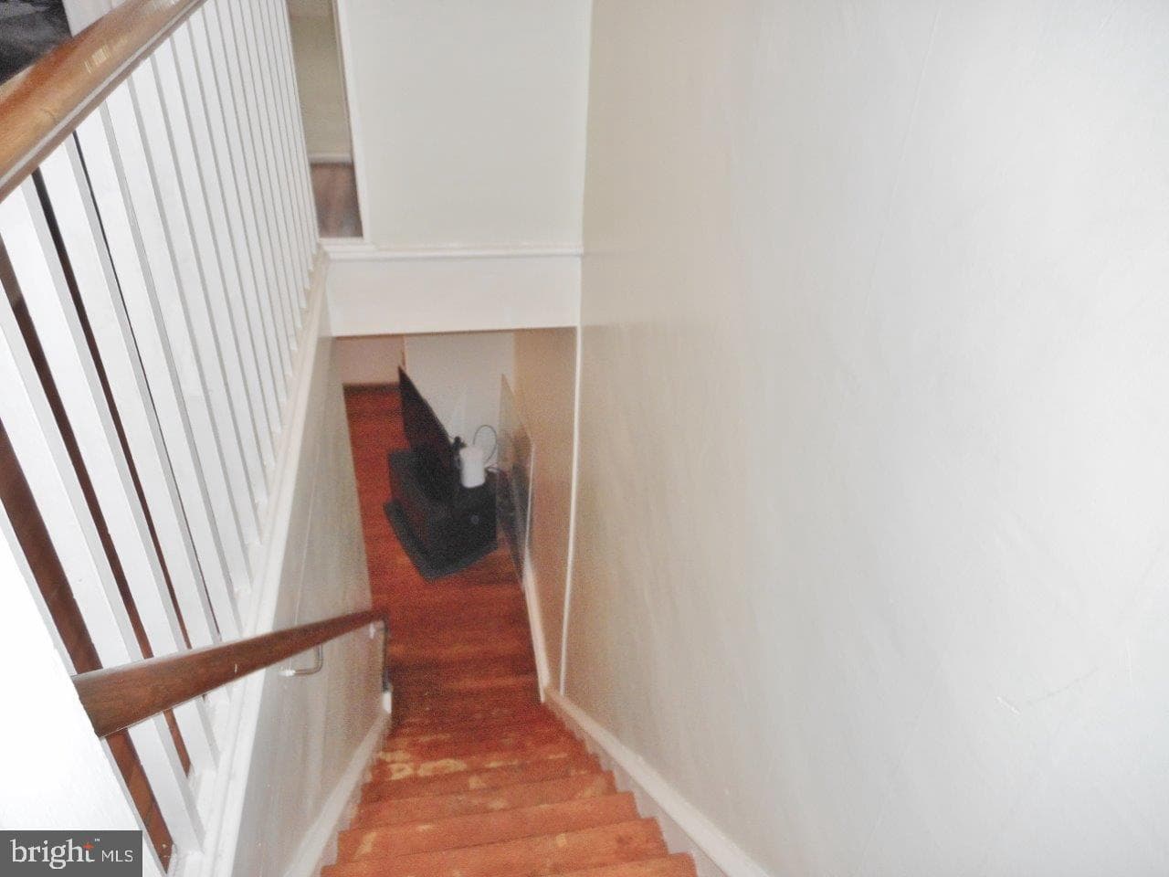 149 Fern photo 23