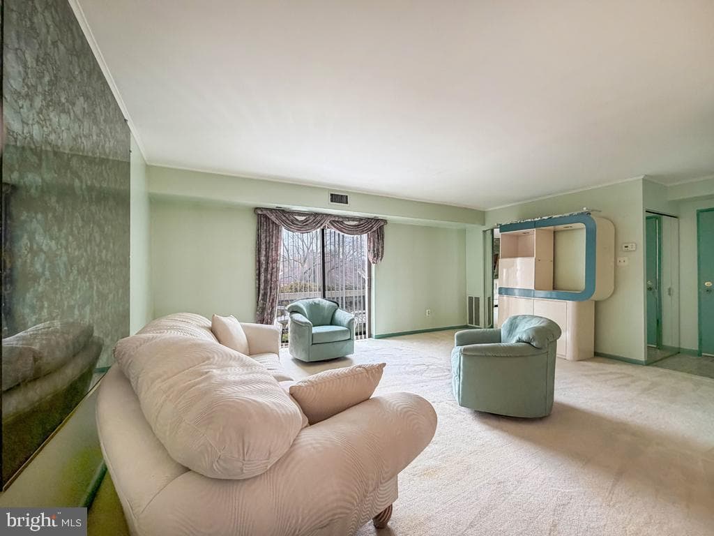 44303 Delaire Landing Road #303 photo 11