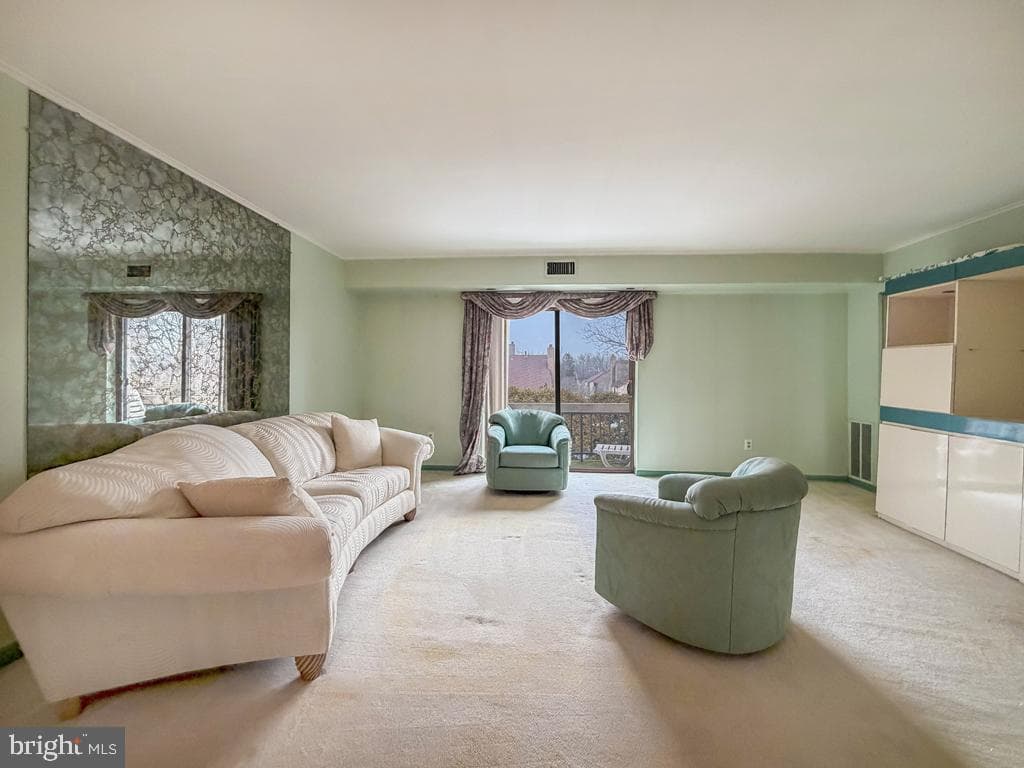 44303 Delaire Landing Road #303 photo 12