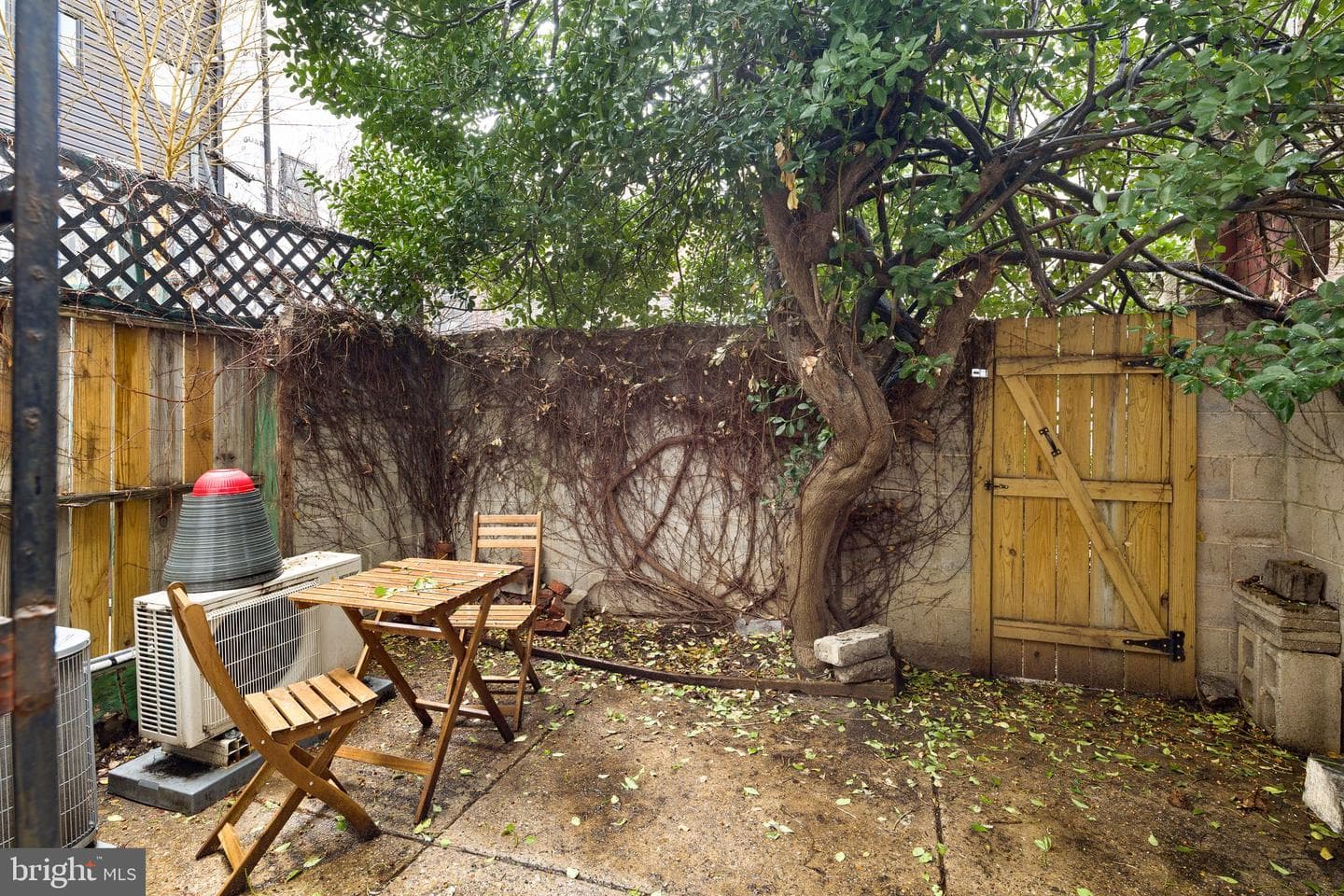 1704 Naudain Street photo 24