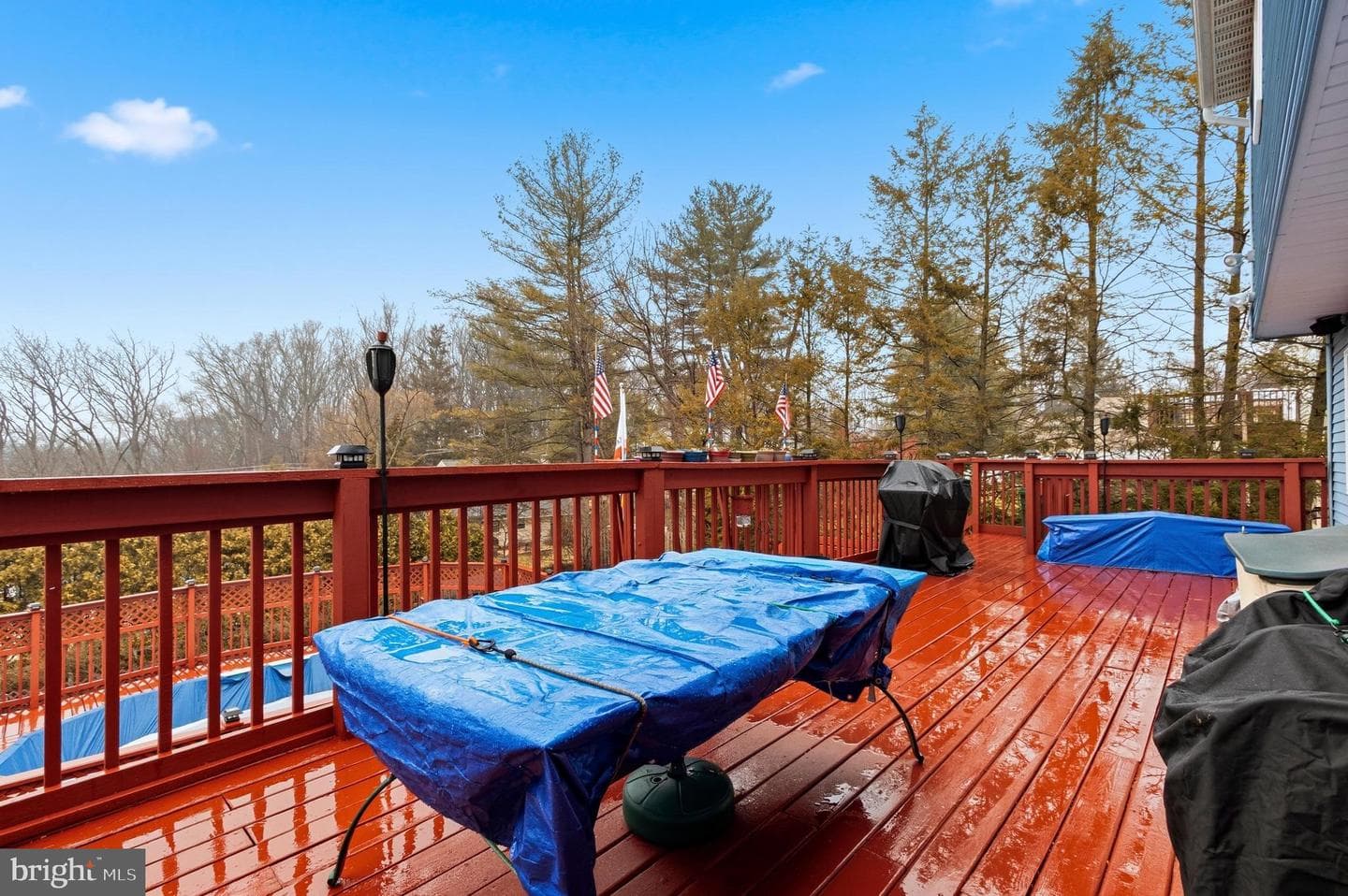 814 Caledonia Street photo 32