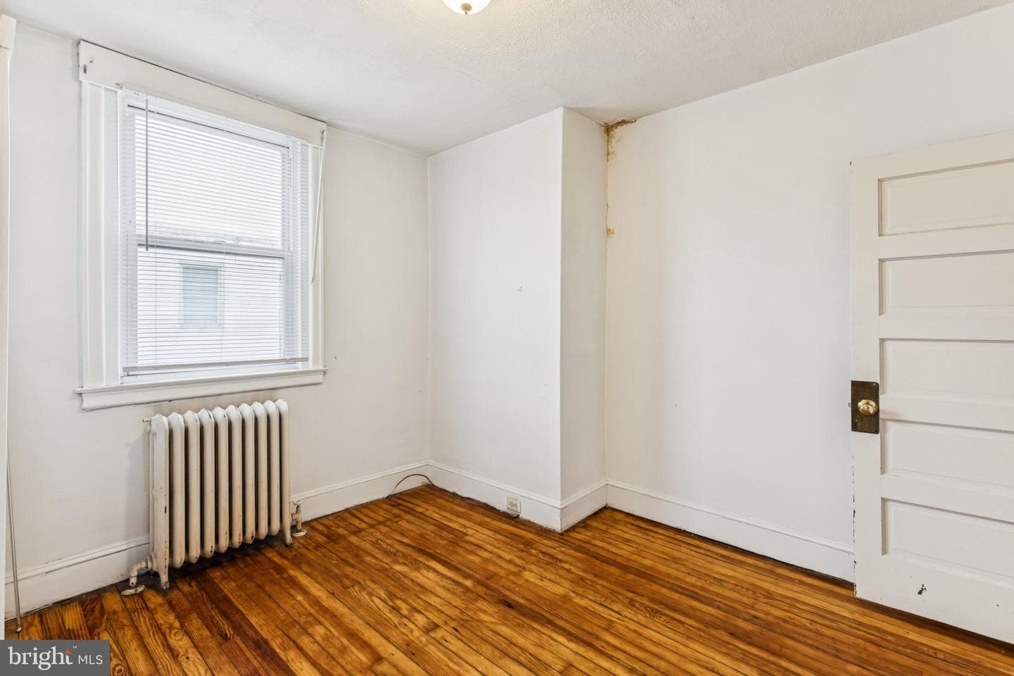 217 Linton Street photo 16