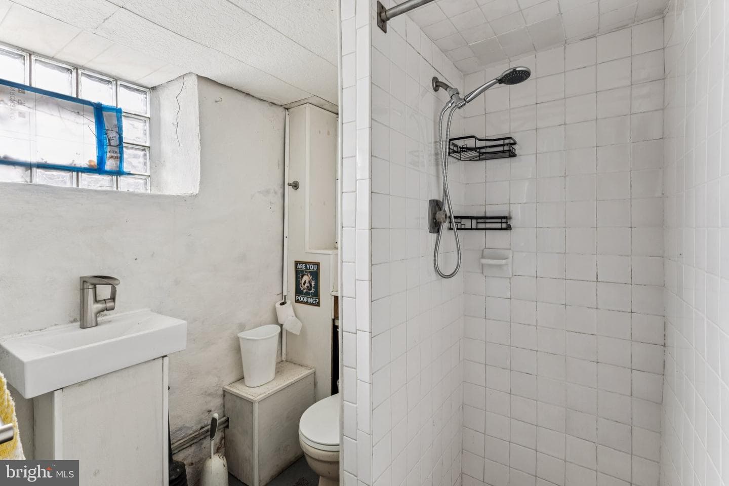 217 Linton Street photo 18