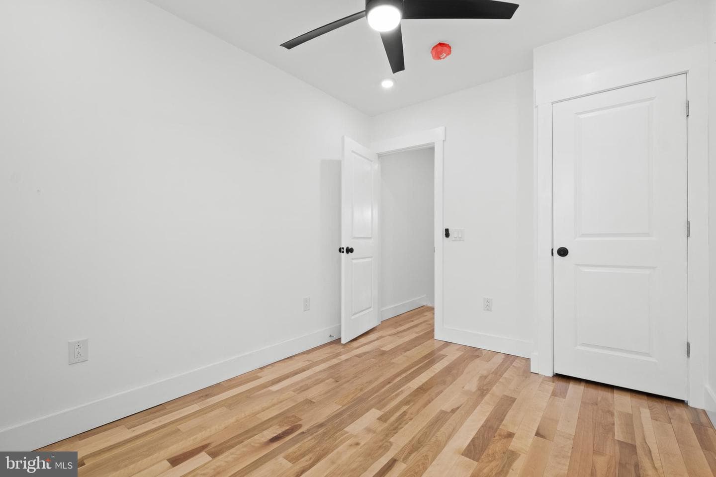2818 Agate Street photo 33