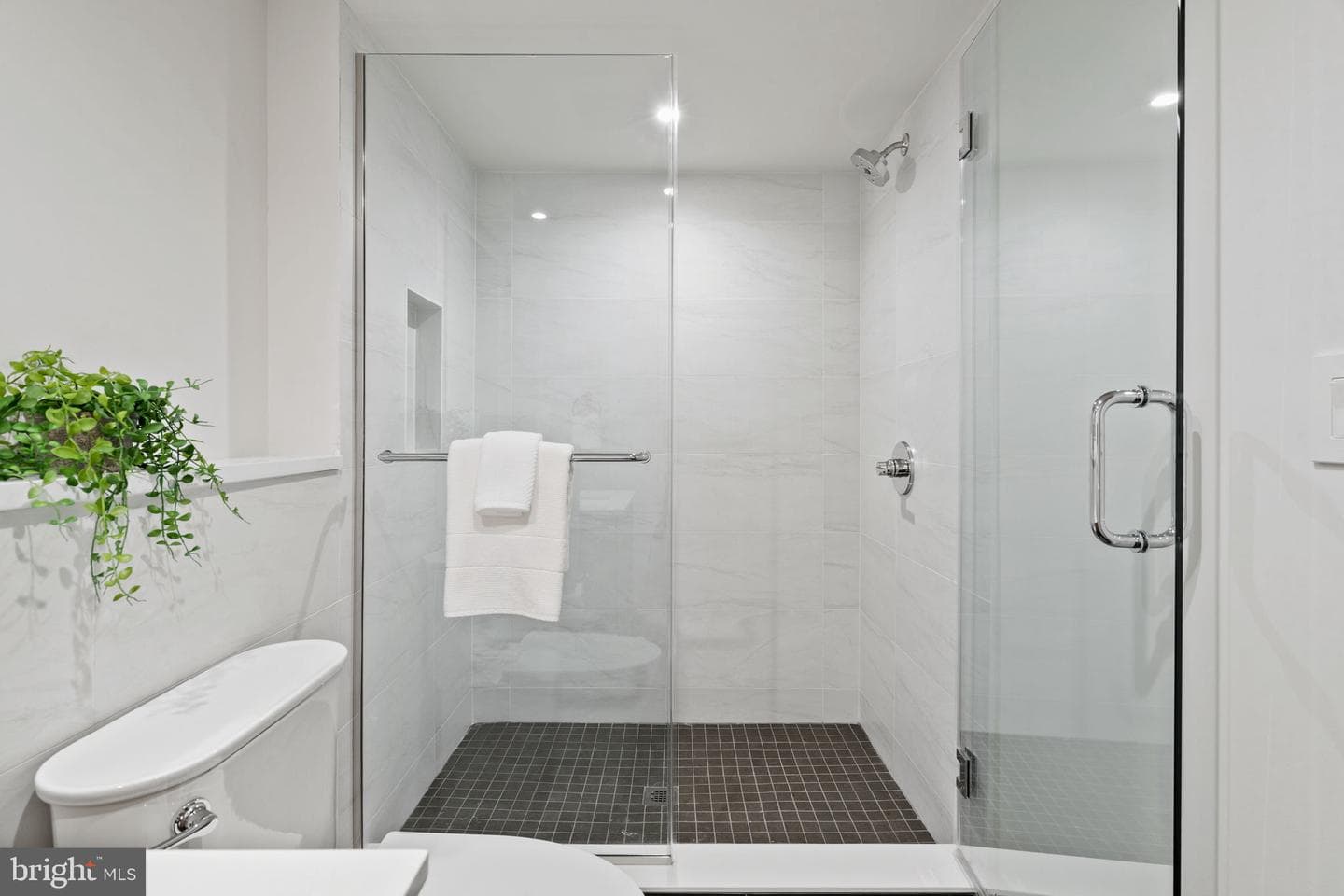 207a Vine Street photo 54