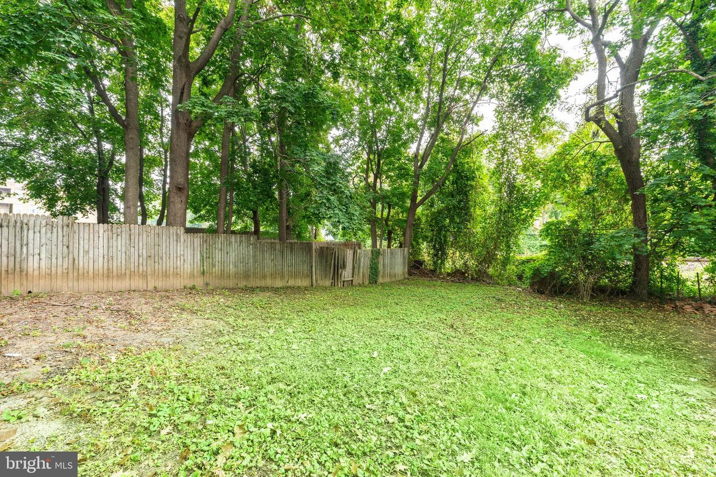 6623 Mccallum Street photo 7