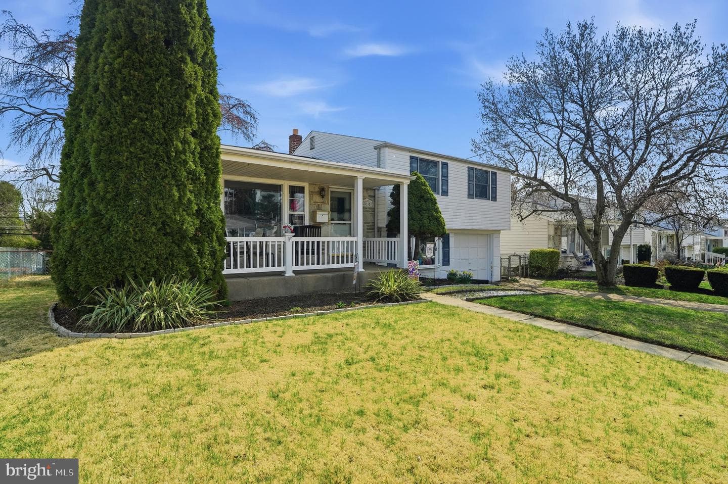 811 Selma Street photo 3