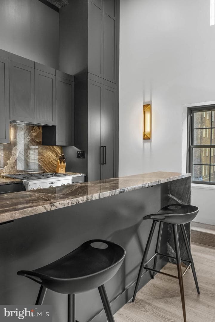 219 S 18th Street #710 photo 15