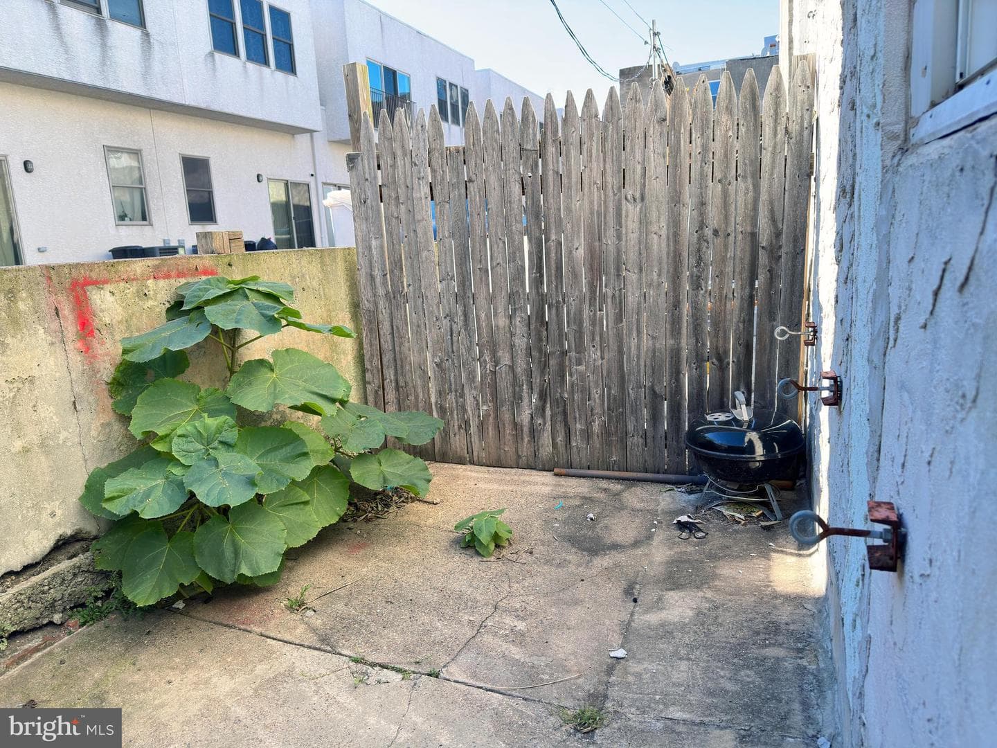 338 Snyder Avenue photo 4