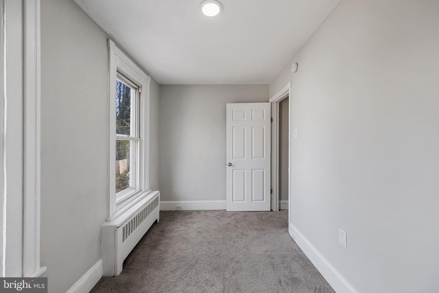 213 Dawson Street photo 15