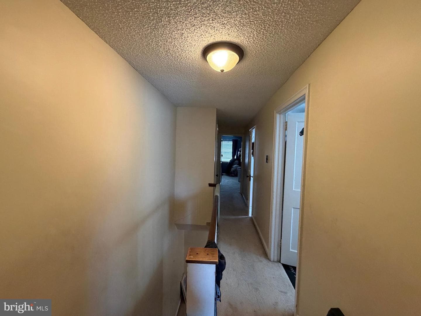 7408 Brous Avenue photo 9