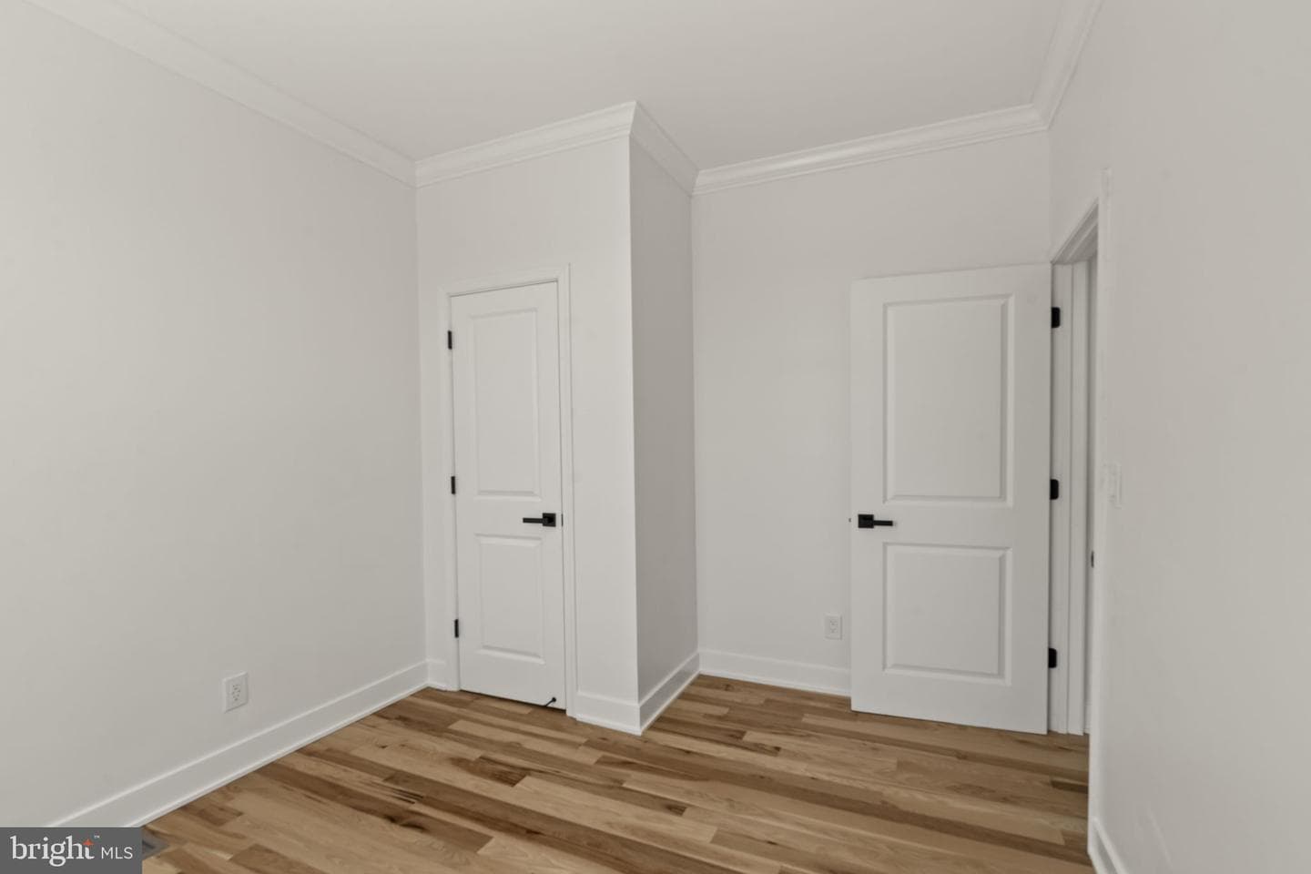 174 Lauriston Street photo 43
