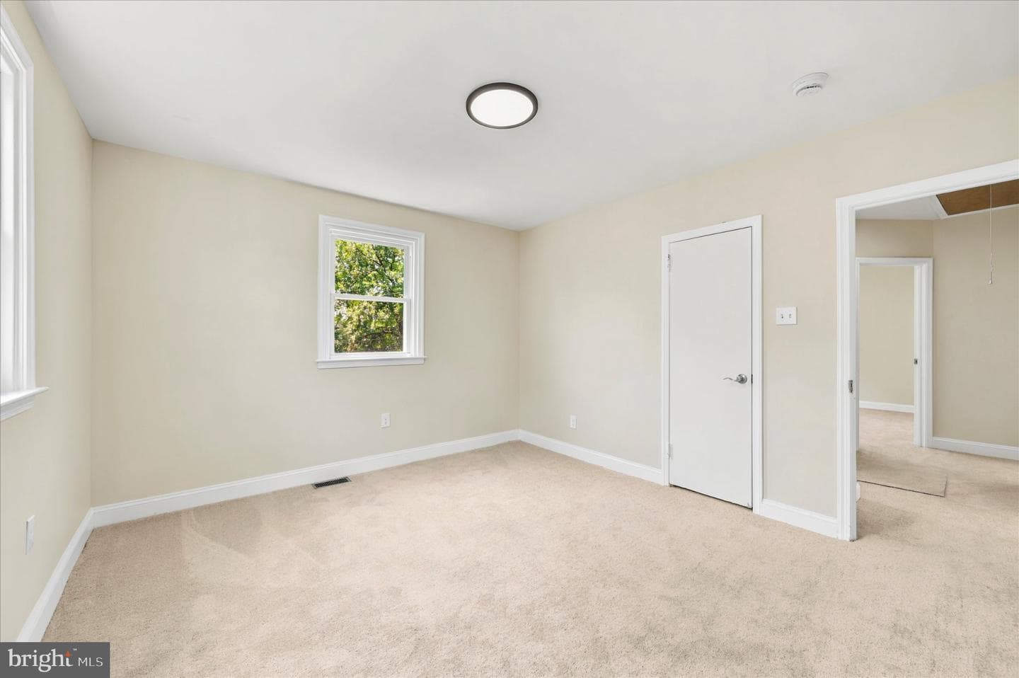 6610 Ardleigh Street photo 20