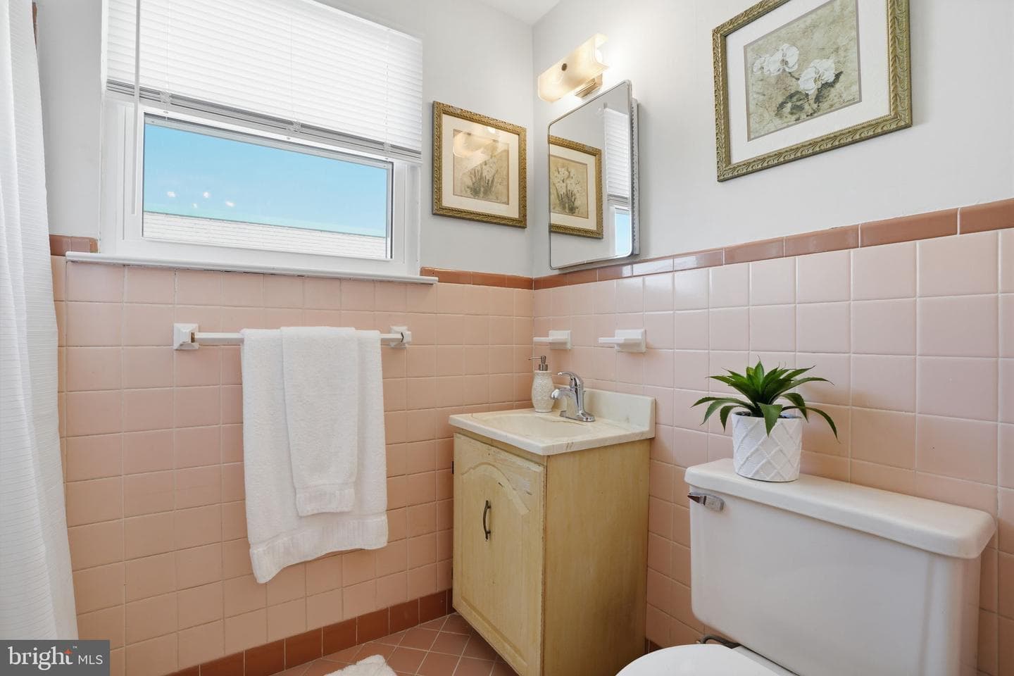 3401 Primrose Road photo 16