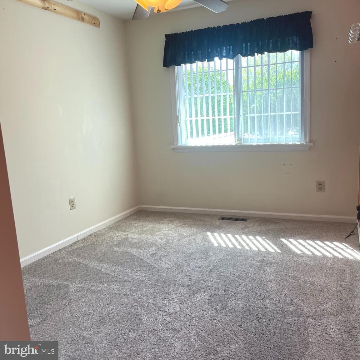 4406 Ernie Davis Circle photo 26