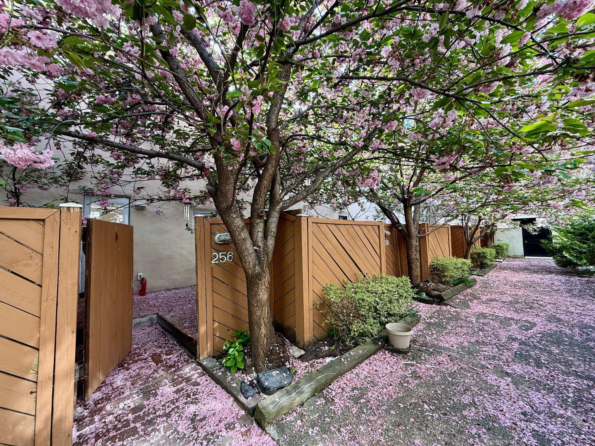 256 S Alder Street photo 4