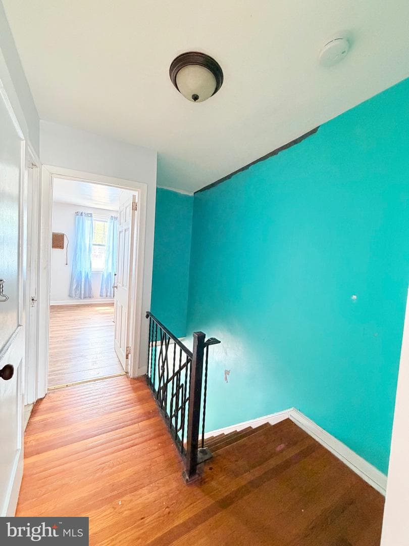 239 Higbee Street photo 8