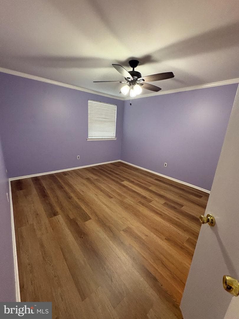 9538 State Road #b photo 13