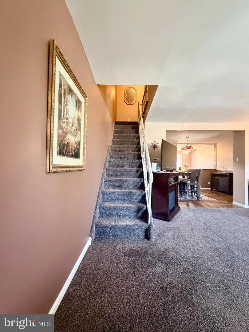 3622 Genesee Drive photo 26