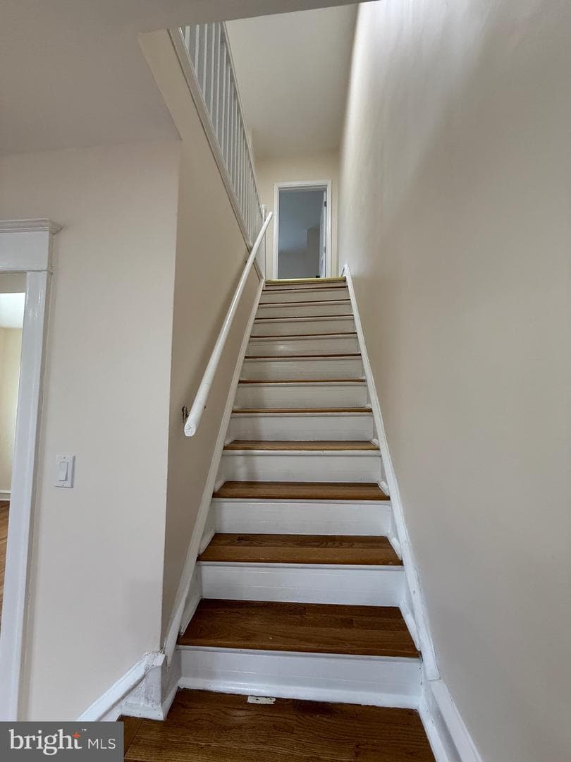 825 Rhawn Street photo 28