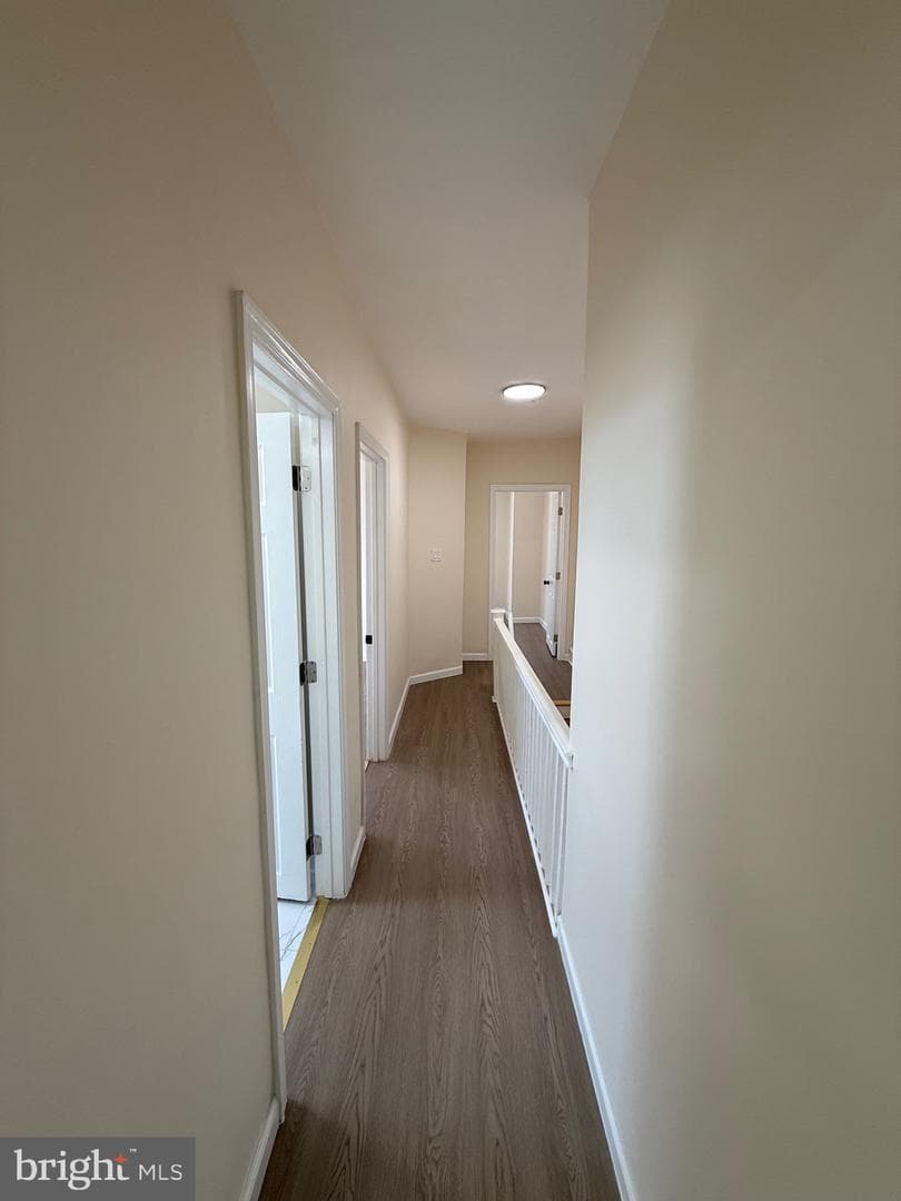 825 Rhawn Street photo 29