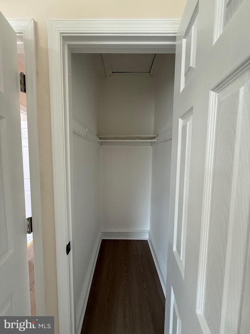 825 Rhawn Street photo 31
