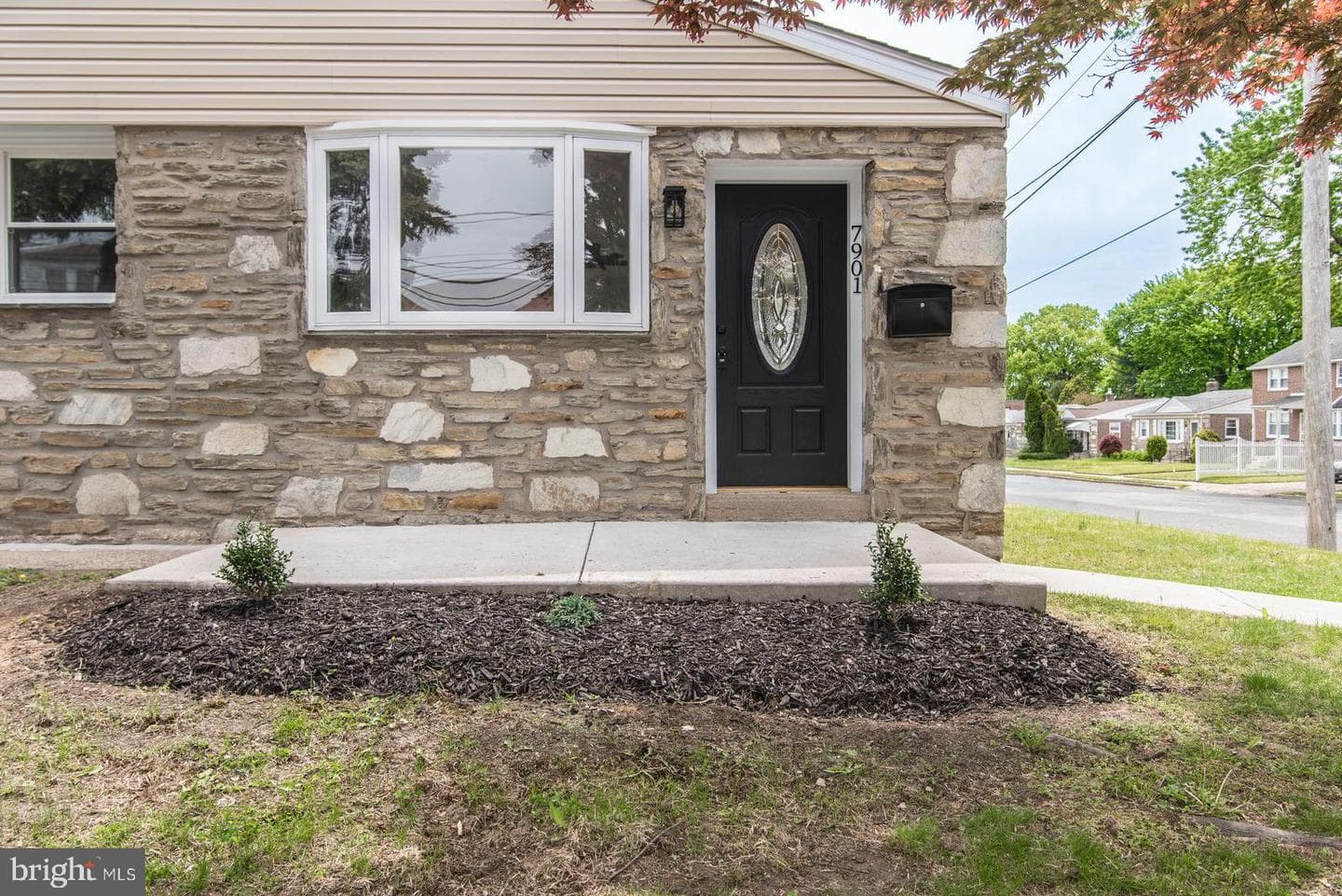 7901 Verree Road photo 60