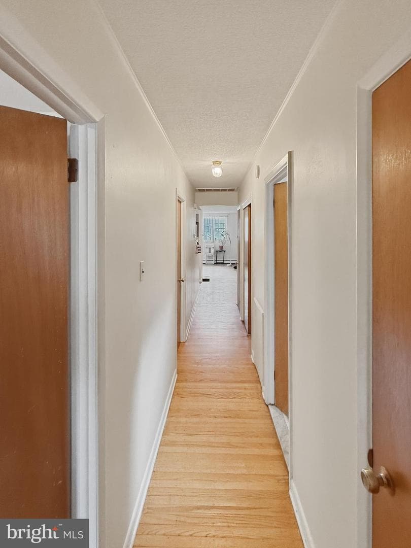 562 Larkspur Street photo 7