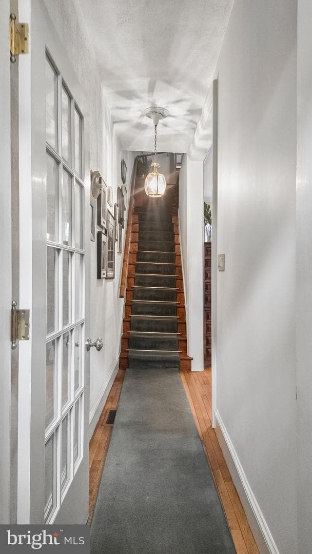 2049 Appletree Street photo 9
