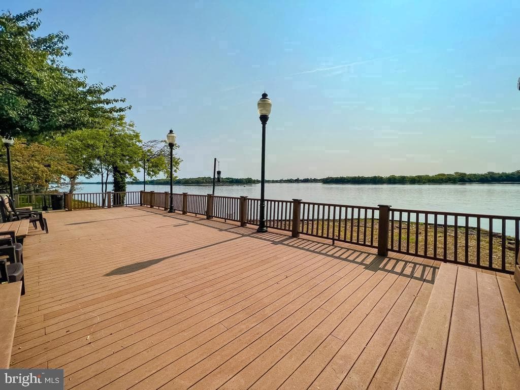 44303 Delaire Landing Road #303 photo 32