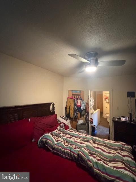895 Marcella Street photo 19