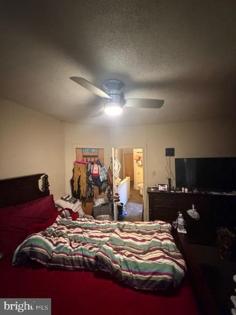 895 Marcella Street photo 27