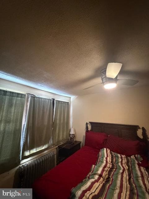 895 Marcella Street photo 28