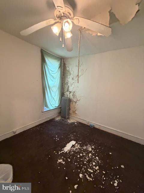 895 Marcella Street photo 4