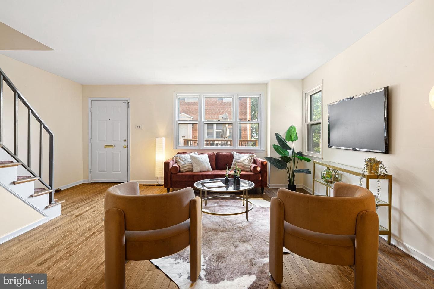 217 Titan Street photo 5
