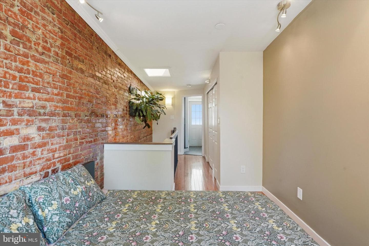 215 Earp Street photo 17