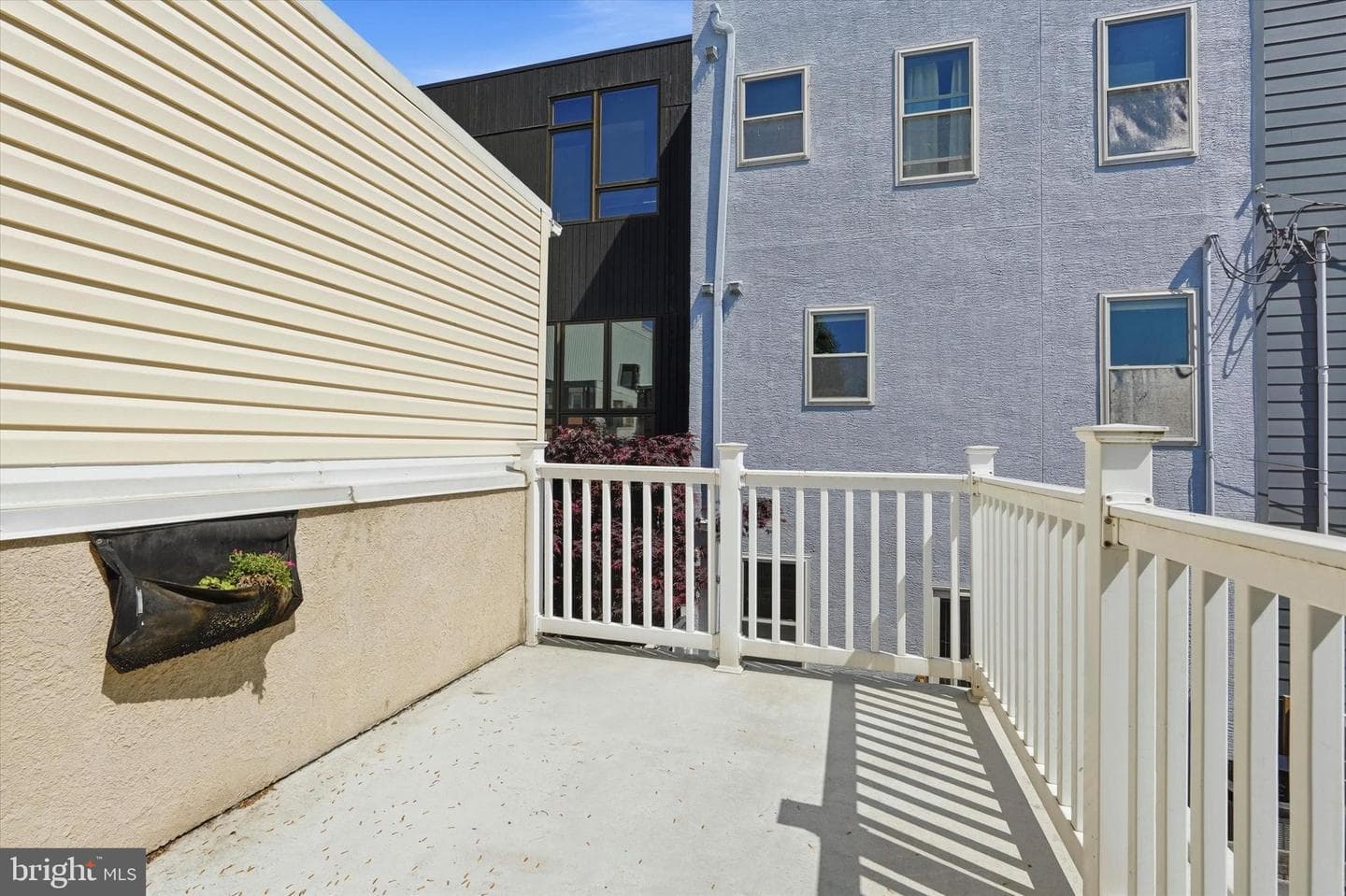 215 Earp Street photo 20