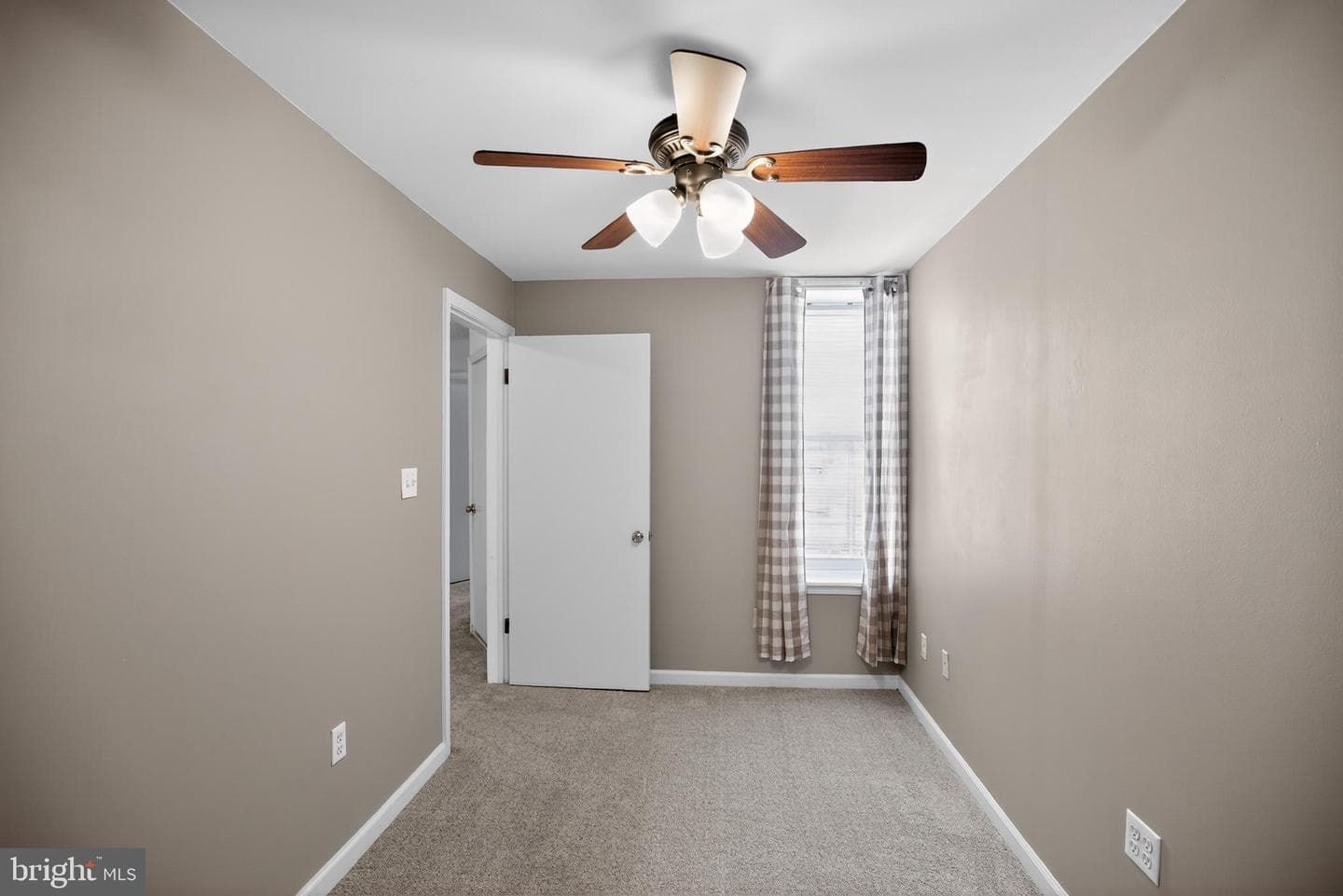 259 Lauriston Street photo 20