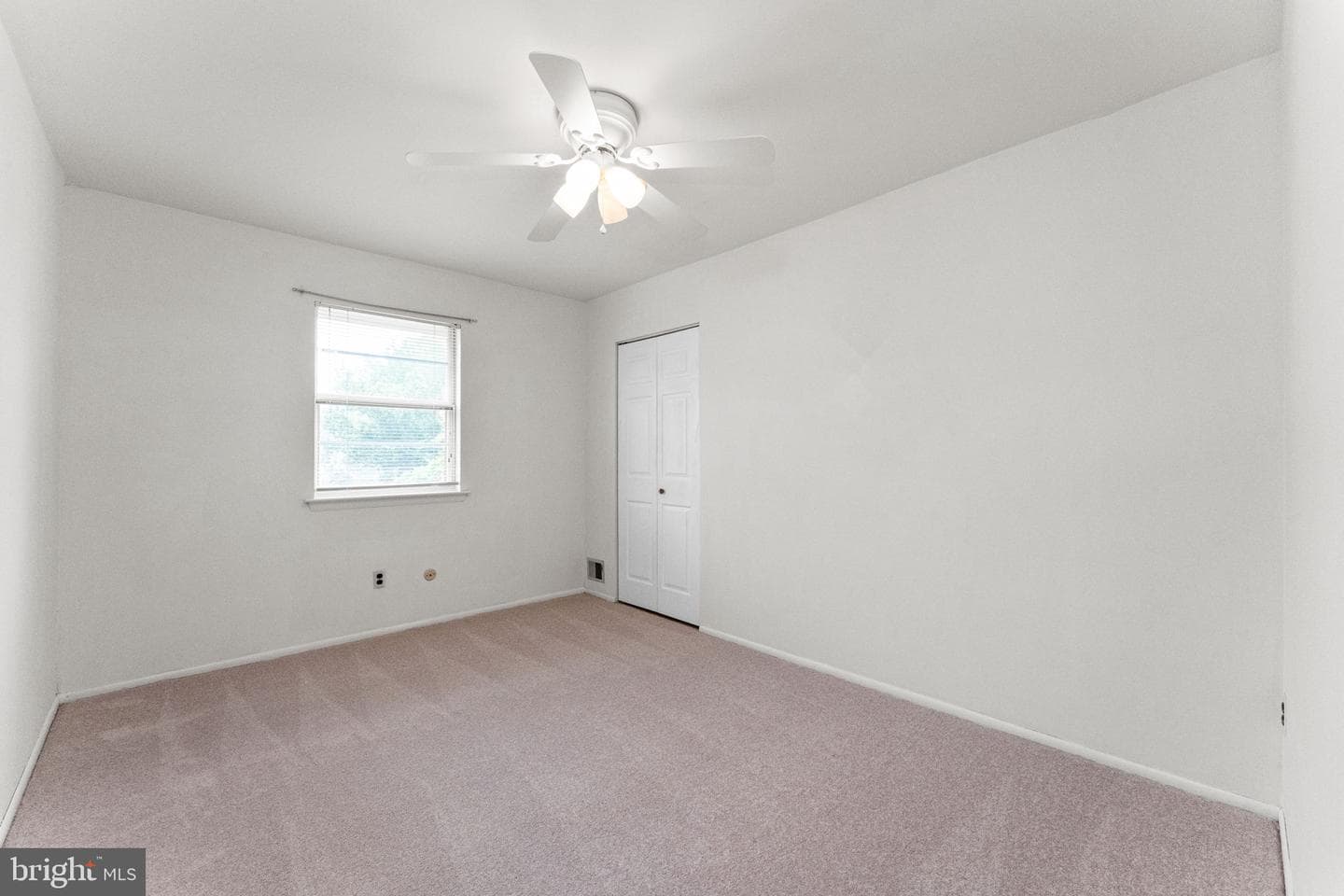 335 Leroy Street photo 21